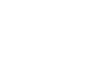 Transul Transporte